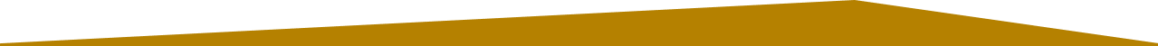Triangulo Assimetrico